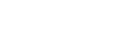 Vanguard Performance