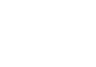 Vanguard Performance